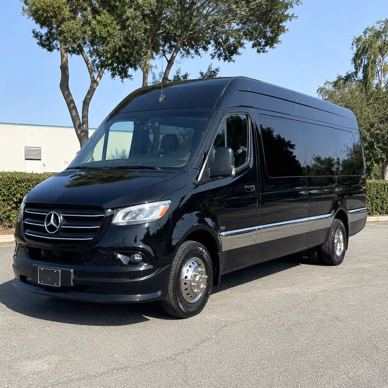 hampton sprinter limo rental
